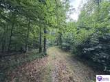 Tract G Sutzer Creek Road - Photo 2