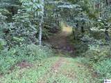 Tract G Sutzer Creek Road - Photo 21
