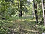 Tract G Sutzer Creek Road - Photo 22