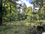 Tract G Sutzer Creek Road - Photo 23