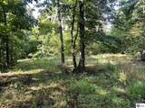 Tract G Sutzer Creek Road - Photo 24