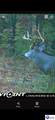 Tract G Sutzer Creek Road - Photo 29