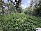 Tract G Sutzer Creek Road - Photo 3