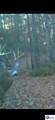 Tract G Sutzer Creek Road - Photo 30
