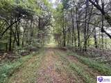 Tract G Sutzer Creek Road - Photo 4