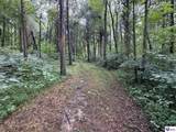 Tract G Sutzer Creek Road - Photo 5