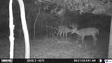 Lot 3 Perkins Lane - Photo 12