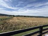 1119 Willetts Bottom Road - Photo 63