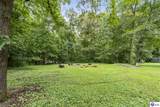 368 Adkins Camp Loop - Photo 14