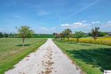 11441 Rineyville Road - Photo 79