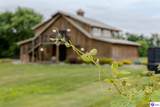 650 Midway Road - Photo 26