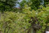 650 Midway Road - Photo 73