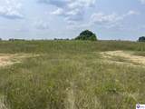 8340 Highway 86 - Photo 1