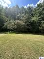 708 Clear Spring Court - Photo 6