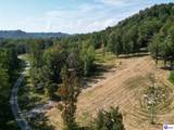 TRACTS 2 & 3 Moores Creek Road - Photo 1