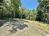 TRACTS 2 & 3 Moores Creek Road - Photo 10