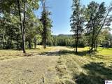TRACTS 2 & 3 Moores Creek Road - Photo 11