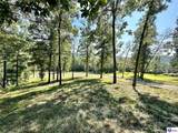 TRACTS 2 & 3 Moores Creek Road - Photo 12