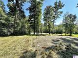 TRACTS 2 & 3 Moores Creek Road - Photo 13