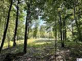 TRACTS 2 & 3 Moores Creek Road - Photo 14