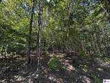 TRACTS 2 & 3 Moores Creek Road - Photo 15
