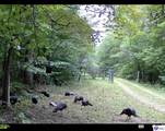 1312 Otter Creek Road - Photo 9
