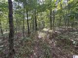 1041 Flood Road - Photo 8