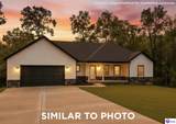 Lot 544 Blueberry Point - Photo 1