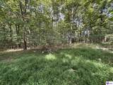 1133 Flood Road - Photo 11