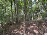 1133 Flood Road - Photo 12