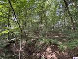 1133 Flood Road - Photo 13