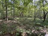 1133 Flood Road - Photo 15