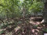 1133 Flood Road - Photo 16
