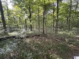 1133 Flood Road - Photo 5