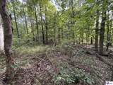 1133 Flood Road - Photo 7