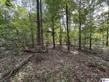 1133 Flood Road - Photo 9
