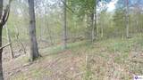 370 Cave Heights Lane - Photo 10
