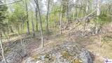 370 Cave Heights Lane - Photo 14