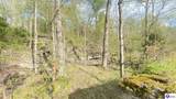 370 Cave Heights Lane - Photo 15