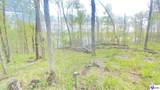370 Cave Heights Lane - Photo 16