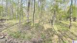 370 Cave Heights Lane - Photo 18