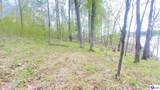 370 Cave Heights Lane - Photo 8