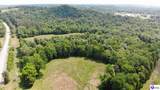 377 Cave Heights Lane - Photo 6