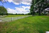 640 Rineyville Big Springs Road - Photo 2