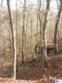 0 Benleo Road - Photo 11