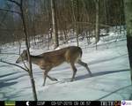 0 Benleo Road - Photo 19