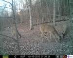 0 Benleo Road - Photo 21