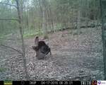 0 Benleo Road - Photo 23