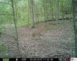 0 Benleo Road - Photo 24