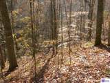 0 Benleo Road - Photo 4